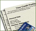 Credit Report image